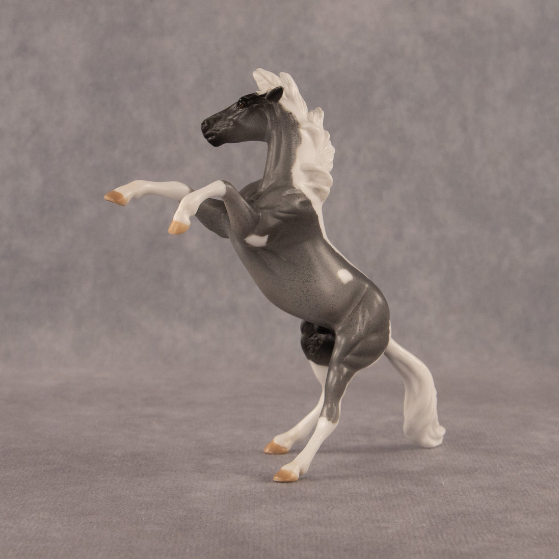 Poseidon OOAK Chip Mustang by Anna Rieck EQ26