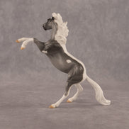 Poseidon OOAK Chip Mustang by Anna Rieck EQ26