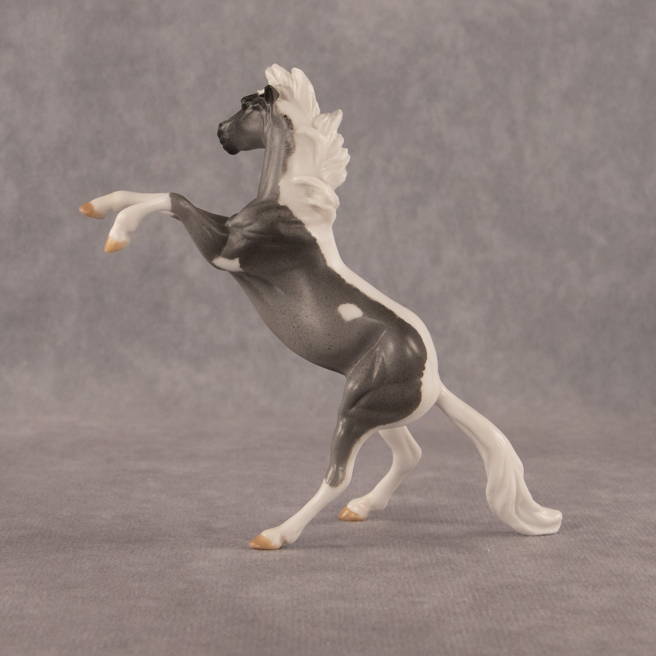 Poseidon OOAK Chip Mustang by Anna Rieck EQ26