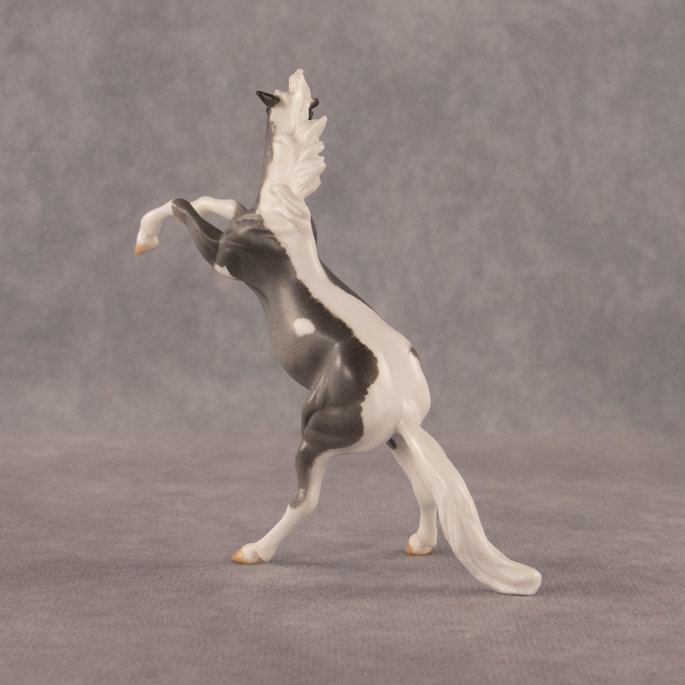 Poseidon OOAK Chip Mustang by Anna Rieck EQ26