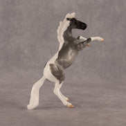 Poseidon OOAK Chip Mustang by Anna Rieck EQ26