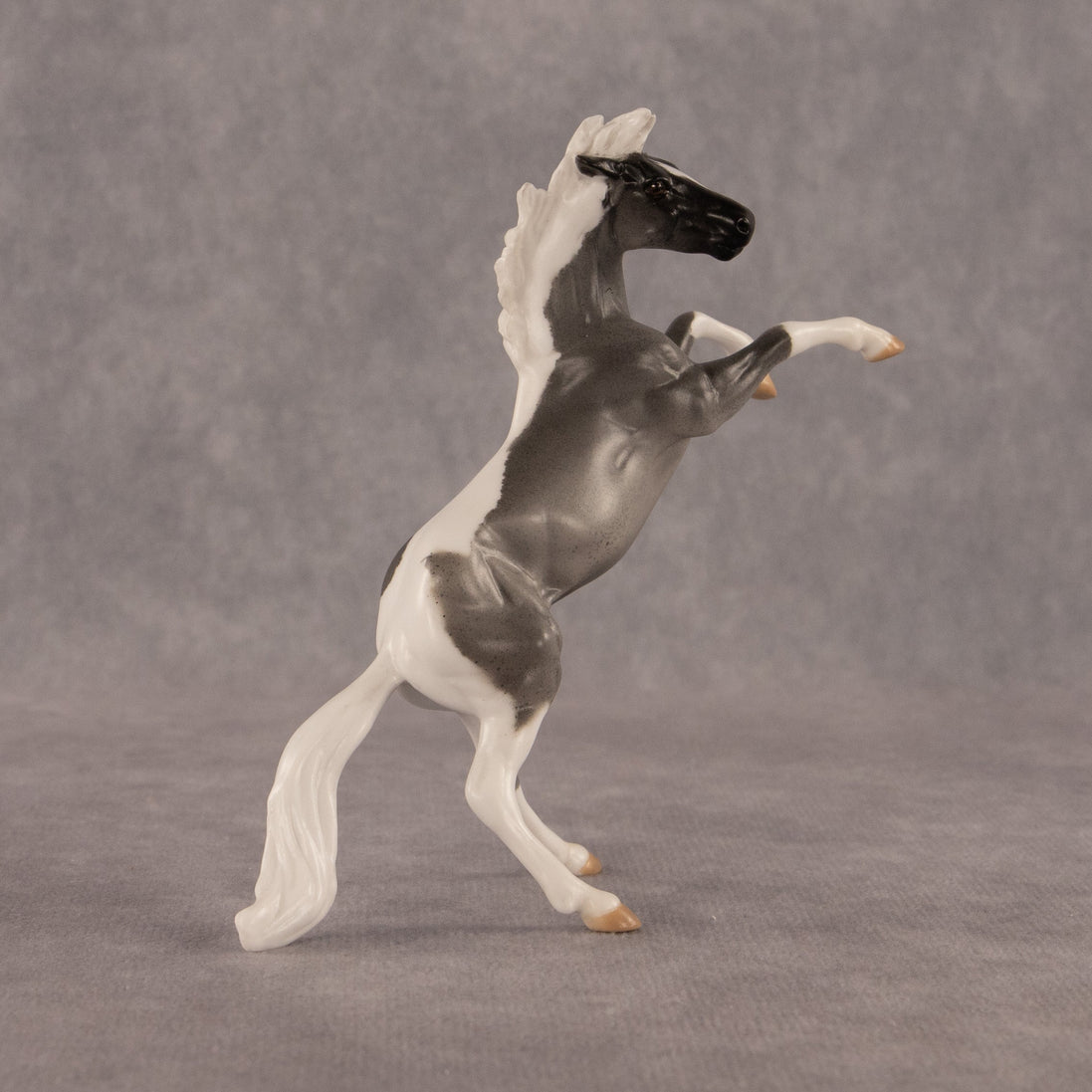 Poseidon OOAK Chip Mustang by Anna Rieck EQ26