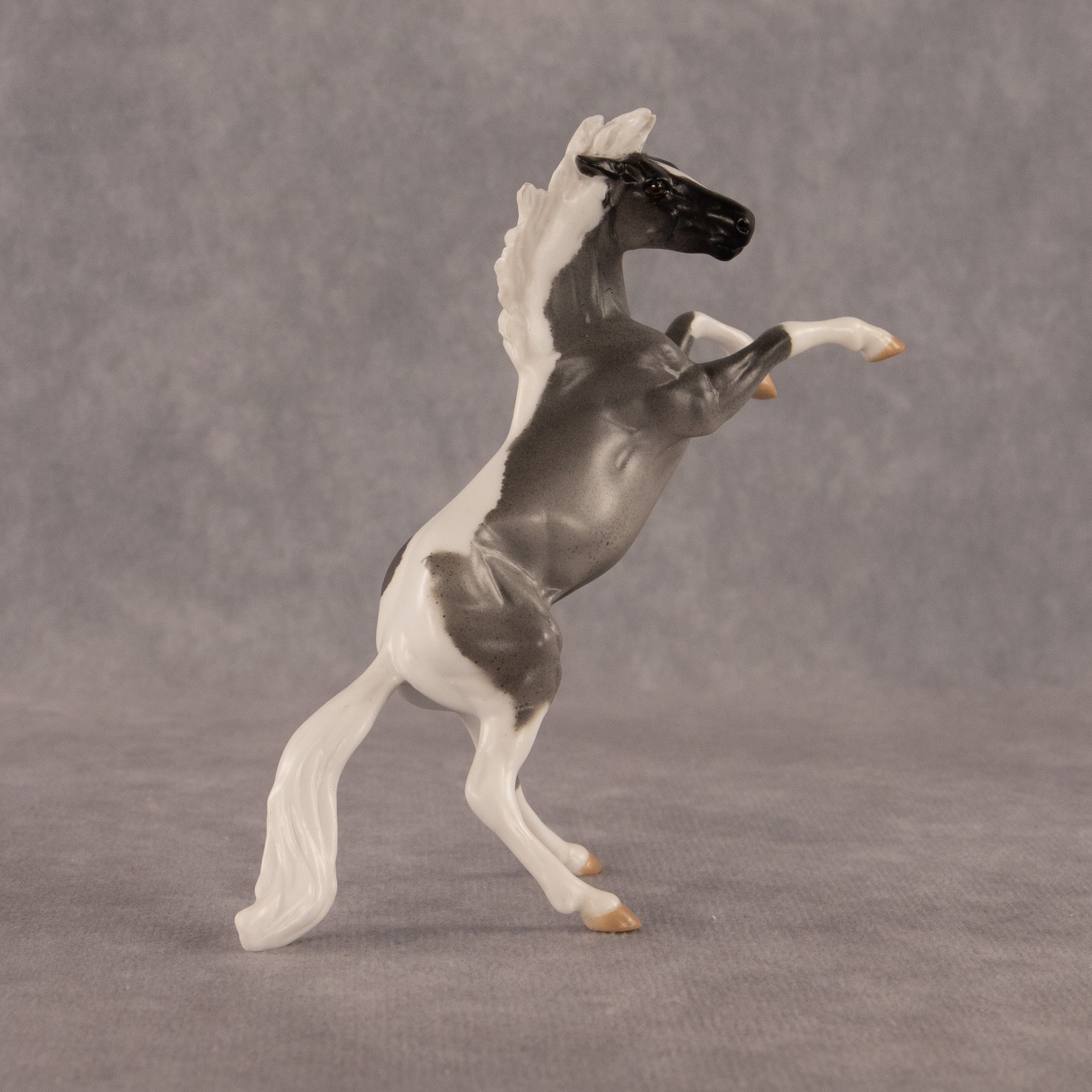 Poseidon OOAK Chip Mustang by Anna Rieck EQ26