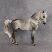 Power of Love OOAK FCM Andalusian by Sheryl Leisure Best Offer 9.8.2026