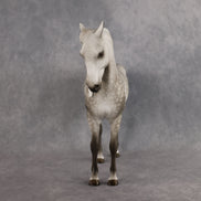 Power of Love OOAK FCM Andalusian by Sheryl Leisure Best Offer 9.8.2026
