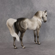 Power of Love OOAK FCM Andalusian by Sheryl Leisure Best Offer 9.8.2026