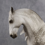 Power of Love OOAK FCM Andalusian by Sheryl Leisure Best Offer 9.8.2026