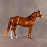 Privateer OOAK FCM Ideal Stock Horse by Ellen Robbins EQ26