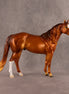 Privateer OOAK FCM Ideal Stock Horse by Ellen Robbins EQ26
