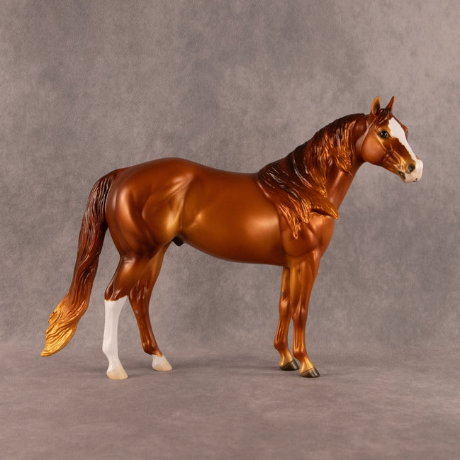 Privateer OOAK FCM Ideal Stock Horse by Ellen Robbins EQ26