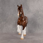 Project X OOAK FCM Trotting Drafter by Tegan Davis Best Offer 9.1.2026