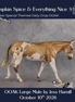 Pumpkin Spice & Everything Nice OOAK Large Mule by Jess Hamill DDOOAKs26