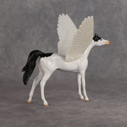 Quacky OOAK FCM Chip Arabian by Angela Marleau FTF26