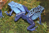 Imitation OOAK Deco Poison Dart Frog Warmblood Chip By Jess Hamill EQ24