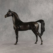 Rainy Day OOAK Arabian Stallion by Ashley Palmer SHCF26