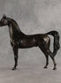 Rainy Day OOAK Arabian Stallion by Ashley Palmer SHCF26