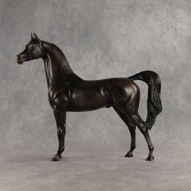 Rainy Day OOAK Arabian Stallion by Ashley Palmer SHCF26