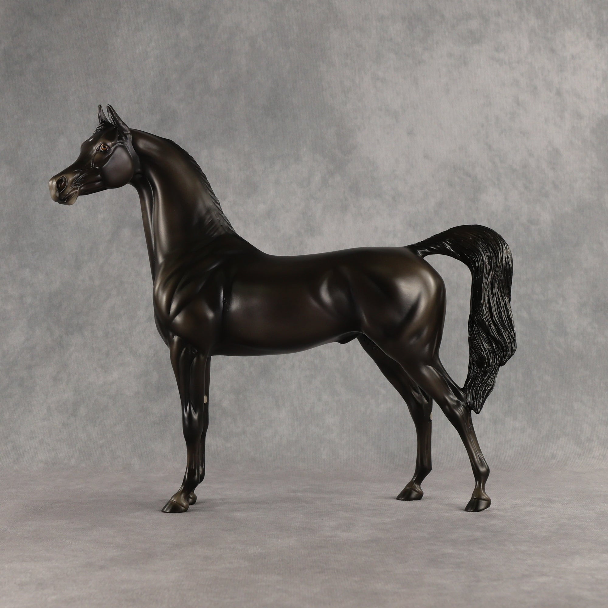 Rainy Day OOAK Arabian Stallion by Ashley Palmer SHCF26
