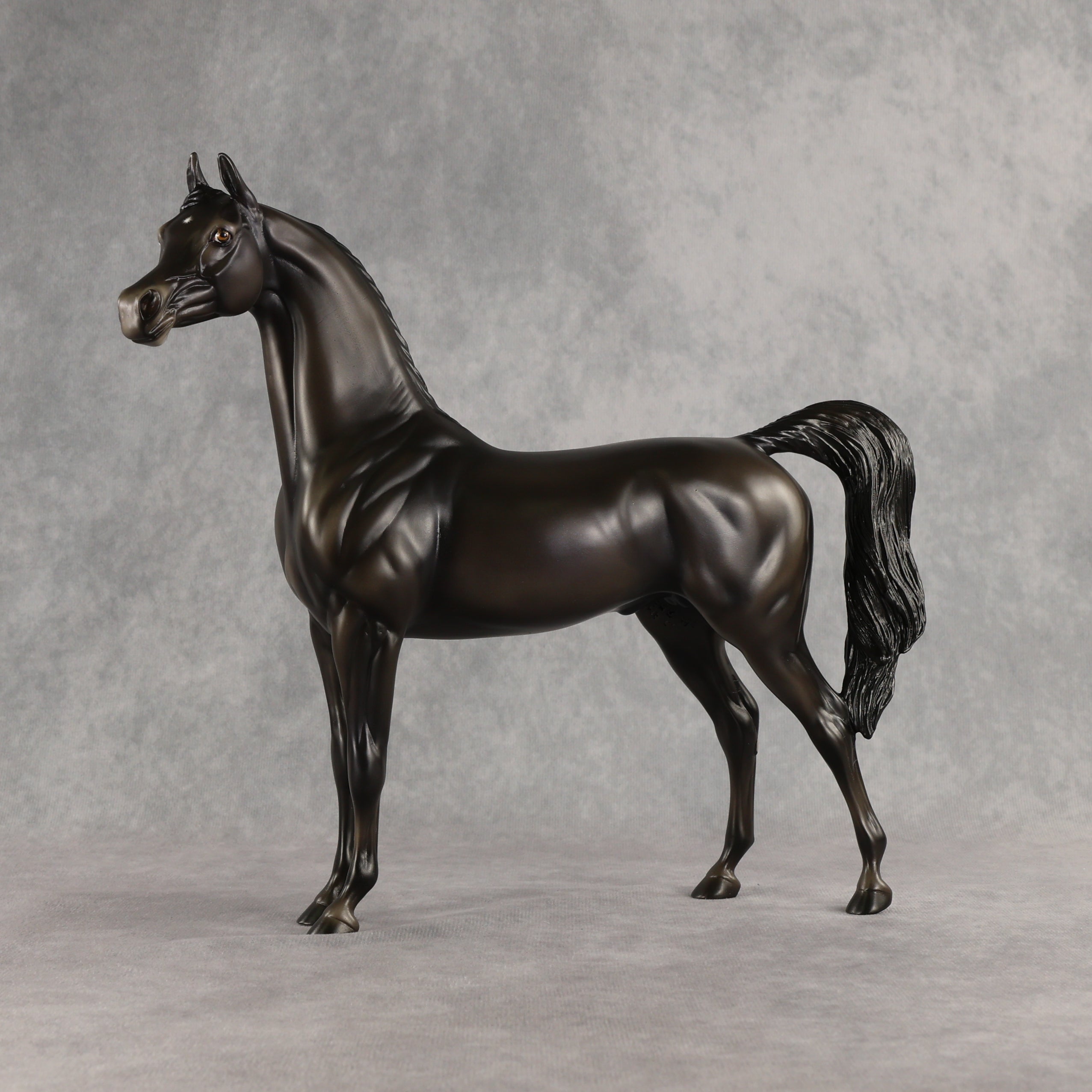Rainy Day OOAK Arabian Stallion by Ashley Palmer SHCF26