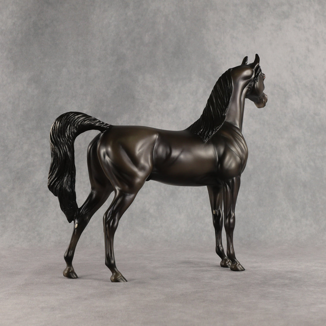 Rainy Day OOAK Arabian Stallion by Ashley Palmer SHCF26