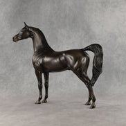 Rainy Day OOAK Arabian Stallion by Ashley Palmer SHCF26