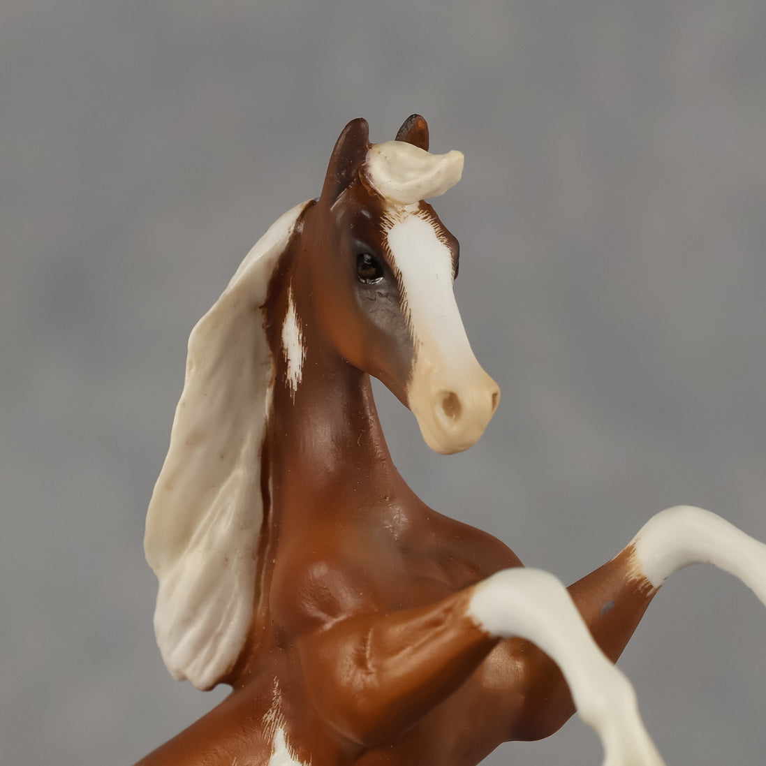Rania OOAK EFCM Chip Mustang by Kristen Cermele GS26