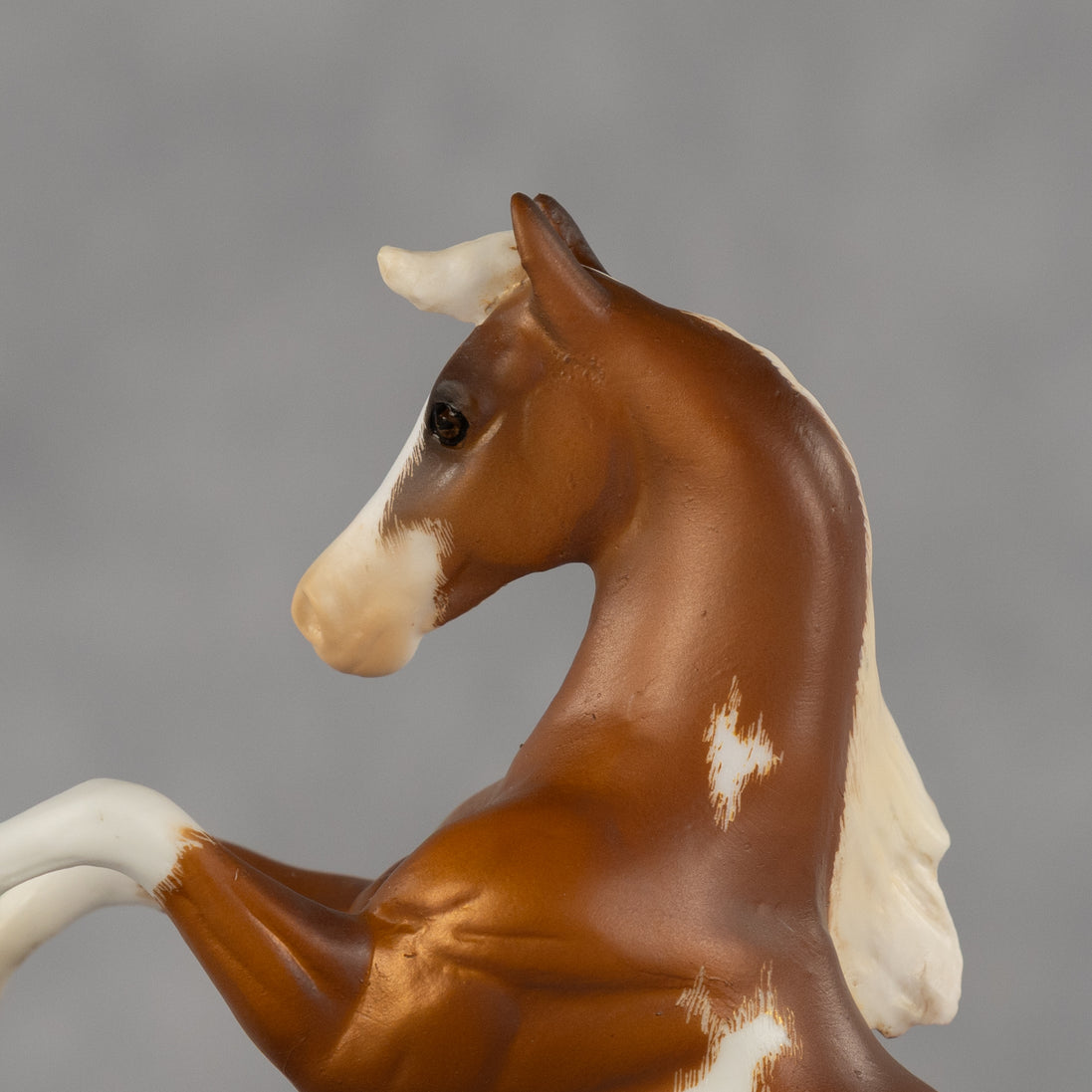 Rania OOAK EFCM Chip Mustang by Kristen Cermele GS26
