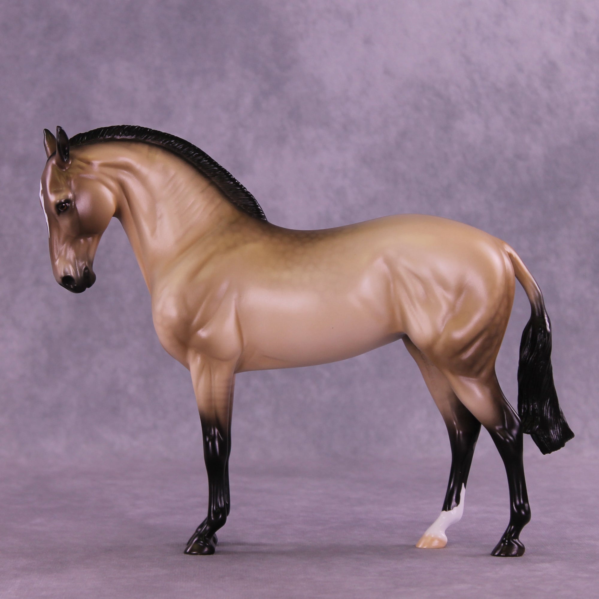 SAMPLE Rare Love LE-15 Andalusian by Ellen Robbins SS0126