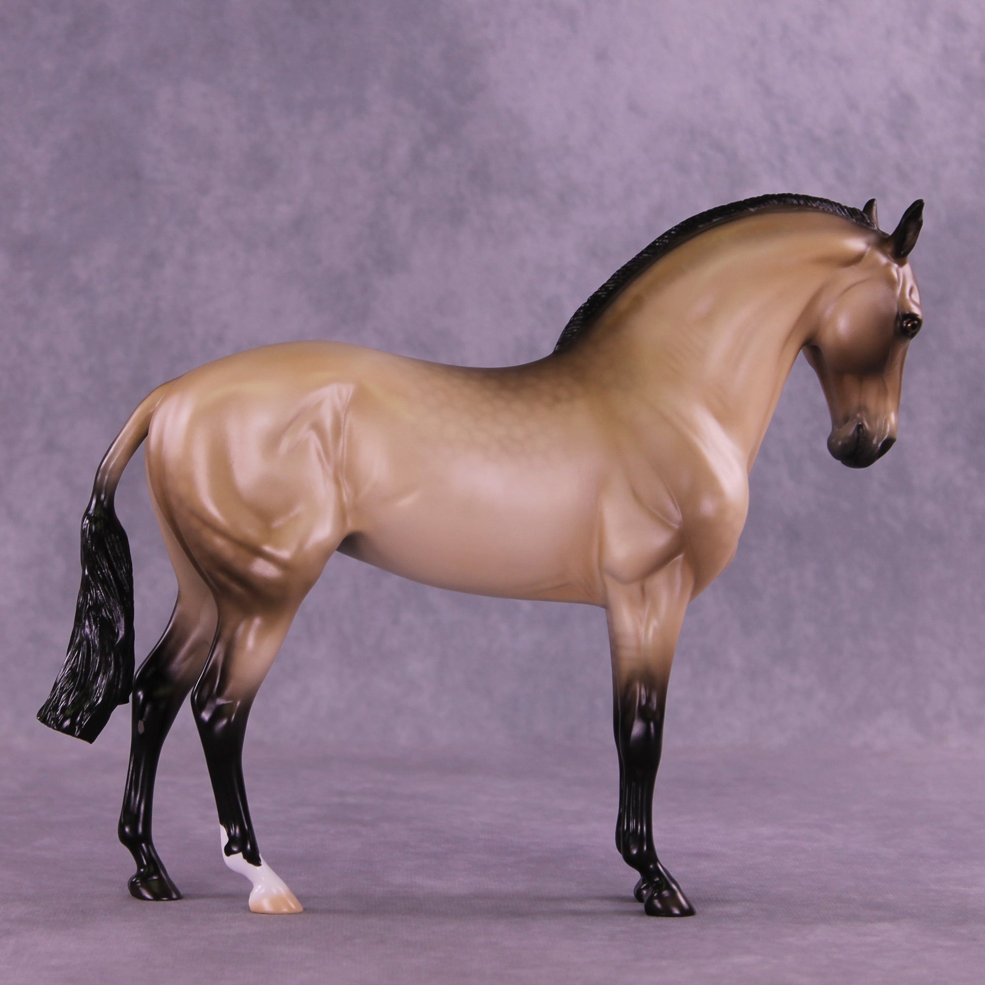 SAMPLE Rare Love LE-15 Andalusian by Ellen Robbins SS0126