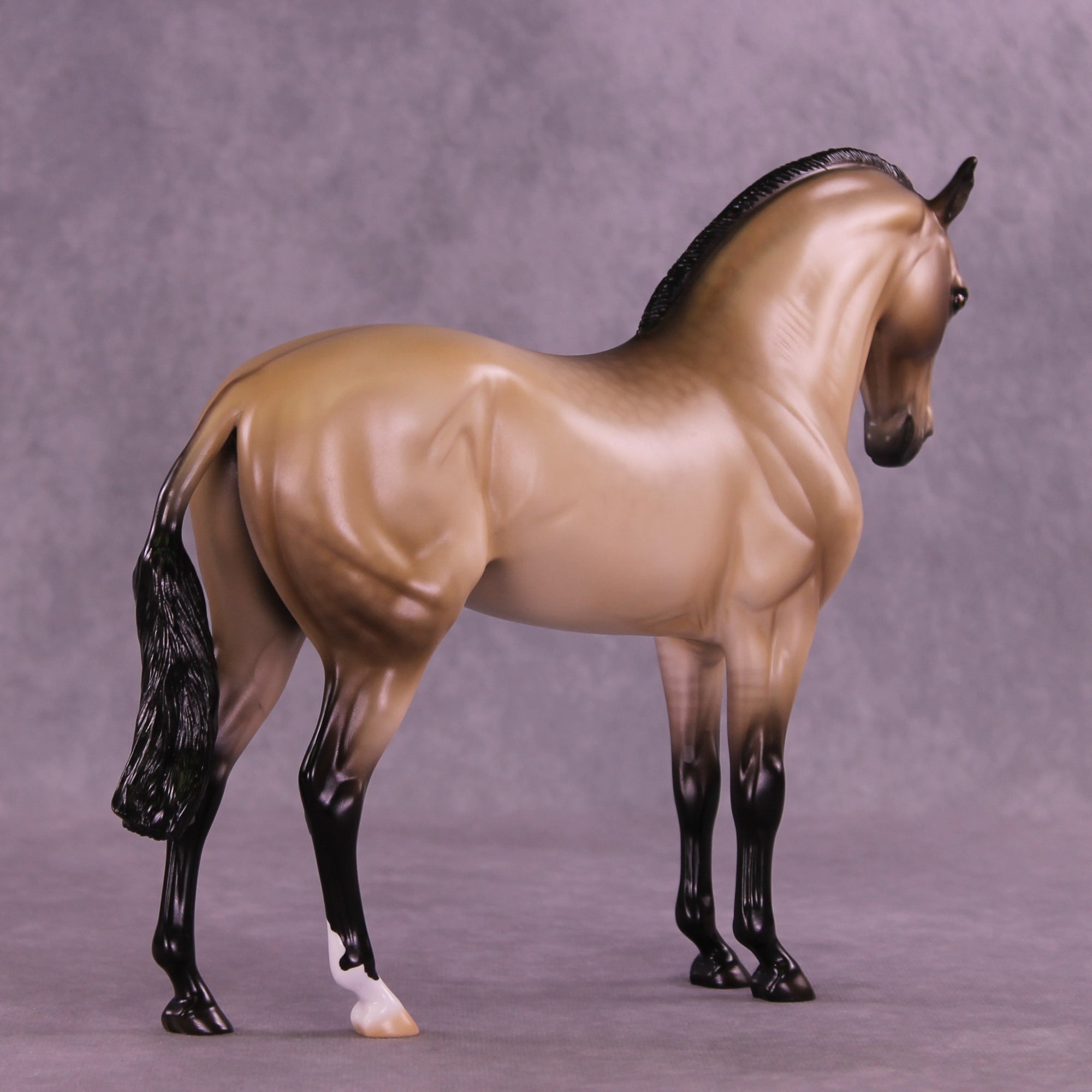 SAMPLE Rare Love LE-15 Andalusian by Ellen Robbins SS0126