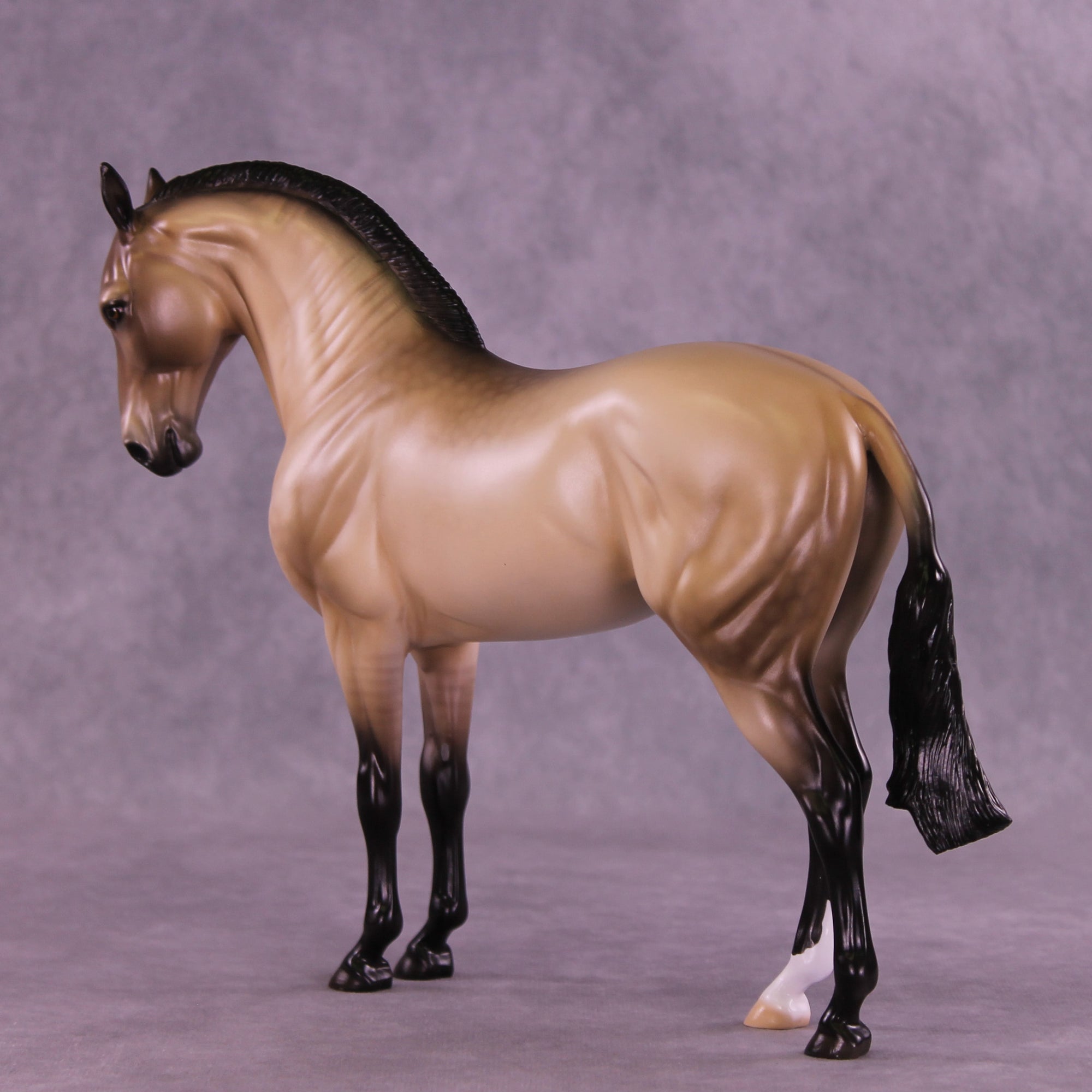 SAMPLE Rare Love LE-15 Andalusian by Ellen Robbins SS0126