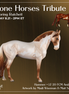 Hammer LE-20 FCM Andalusian by Madi Wiseman TS26