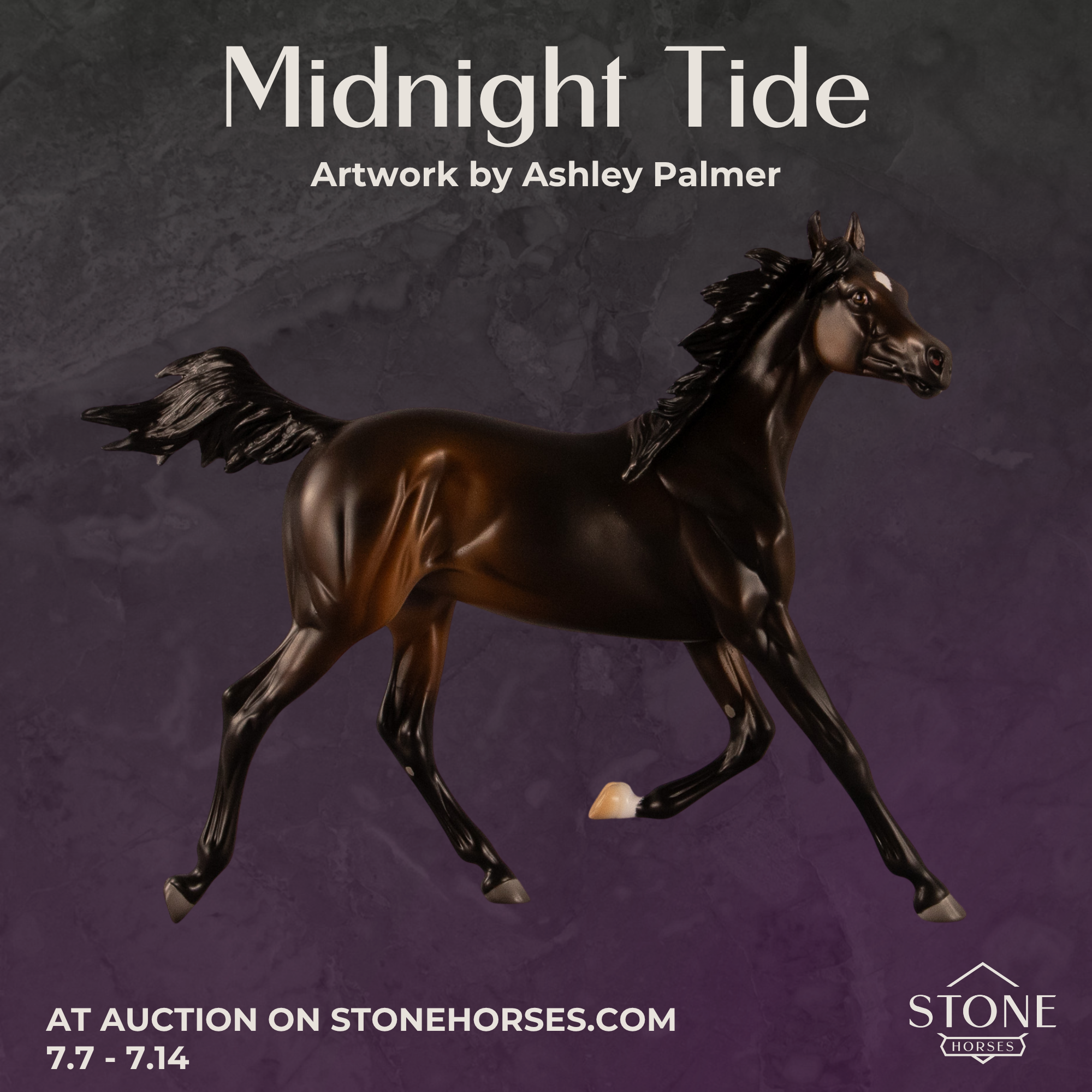 Midnight Tide OOAK FCM Arabian Yearling by Ashley Palmer EQ26
