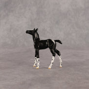 Rava OOAK Chip Foal by Anna Rieck EQ26
