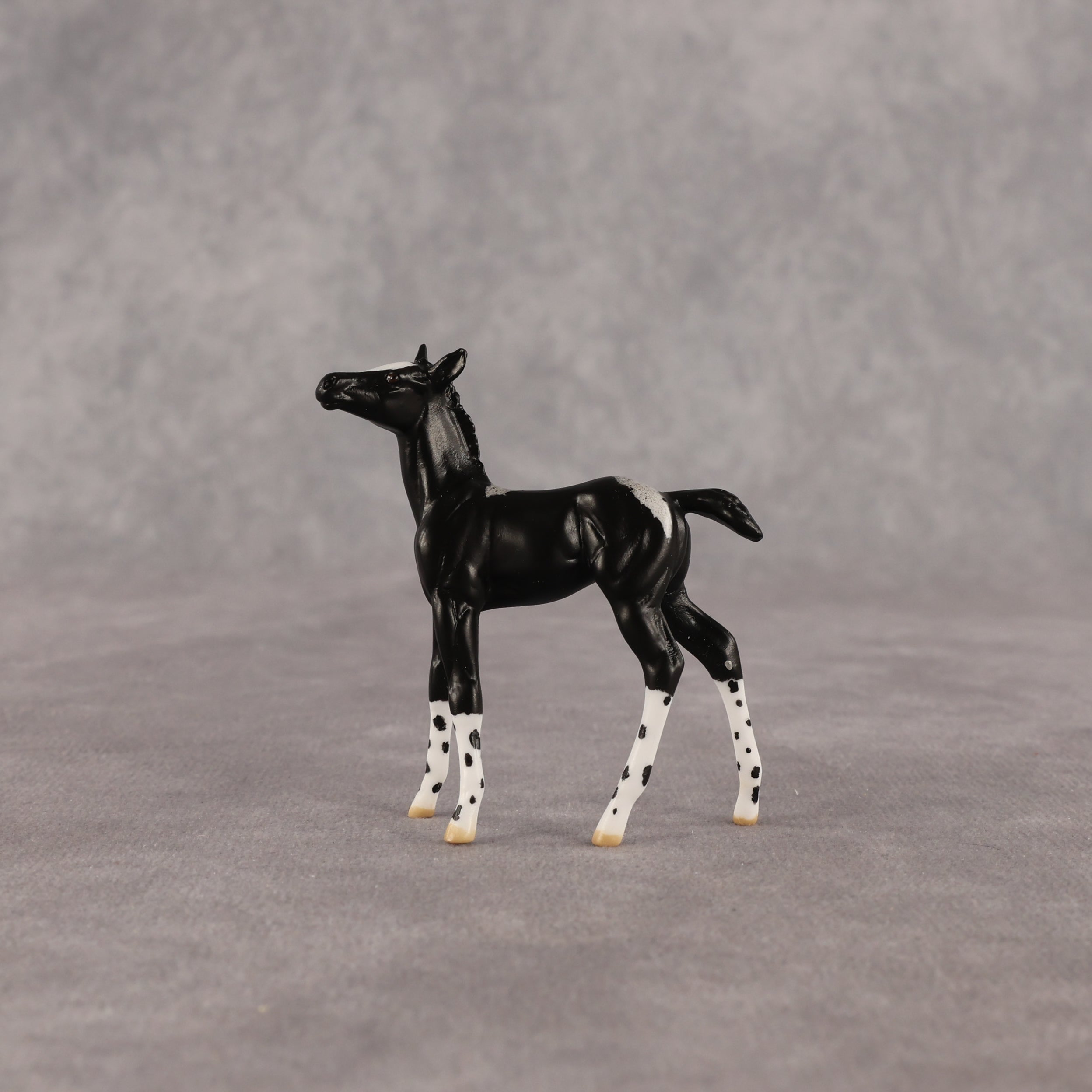 Rava OOAK Chip Foal by Anna Rieck EQ26