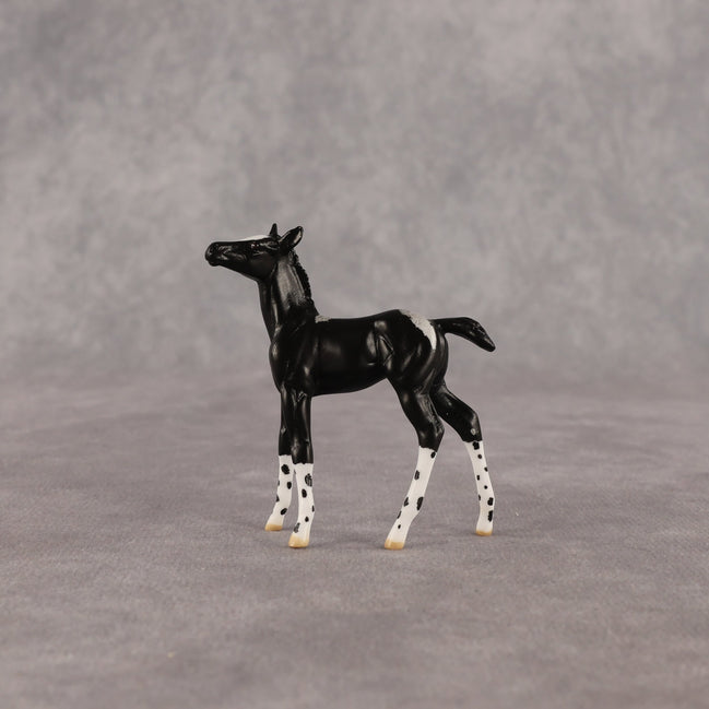 Rava OOAK Chip Foal by Anna Rieck EQ26