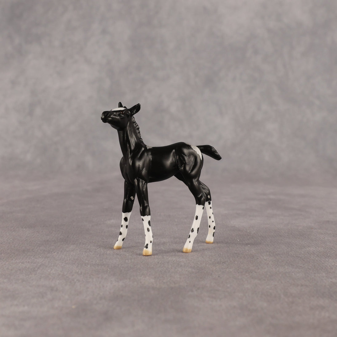 Rava OOAK Chip Foal by Anna Rieck EQ26