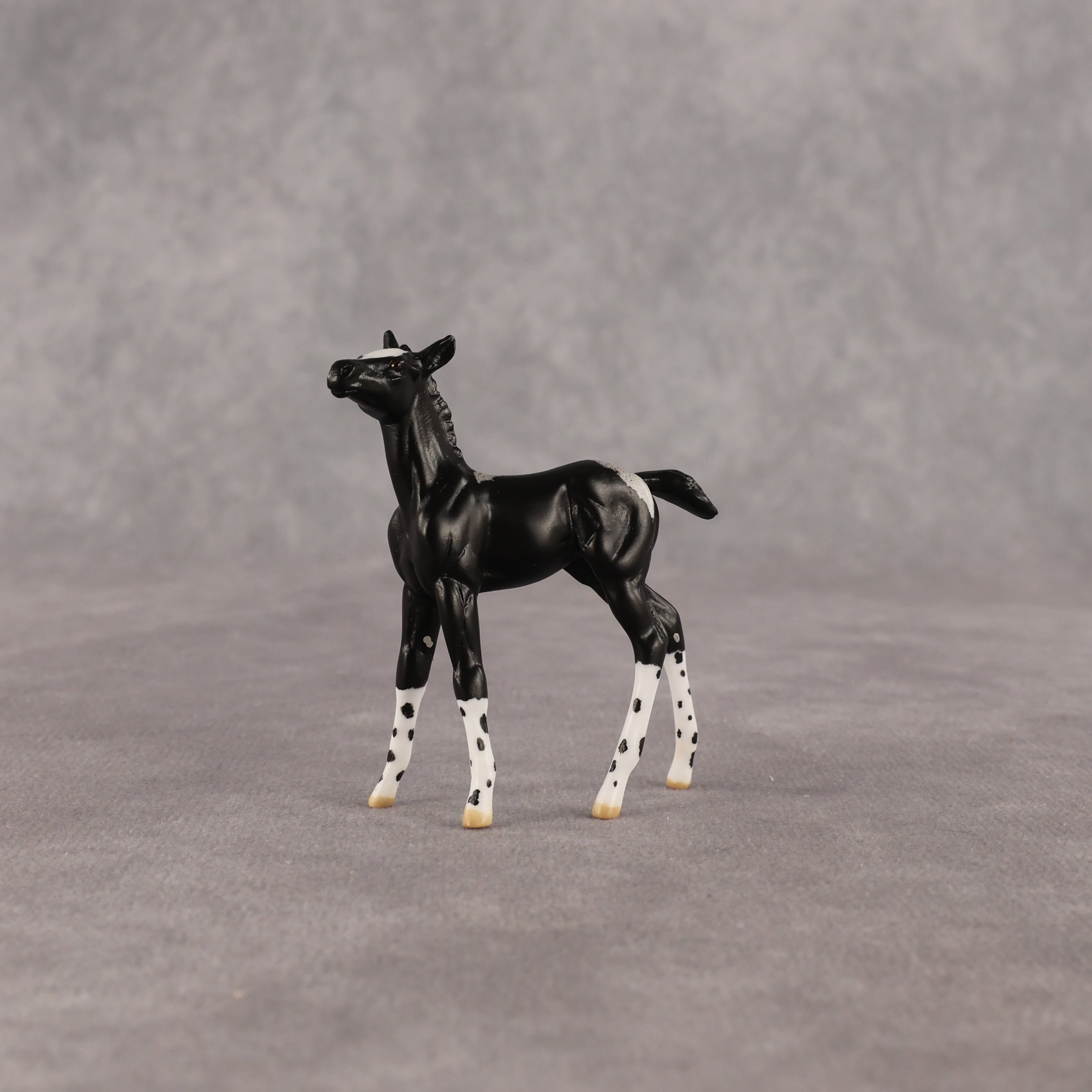 Rava OOAK Chip Foal by Anna Rieck EQ26