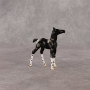 Rava OOAK Chip Foal by Anna Rieck EQ26