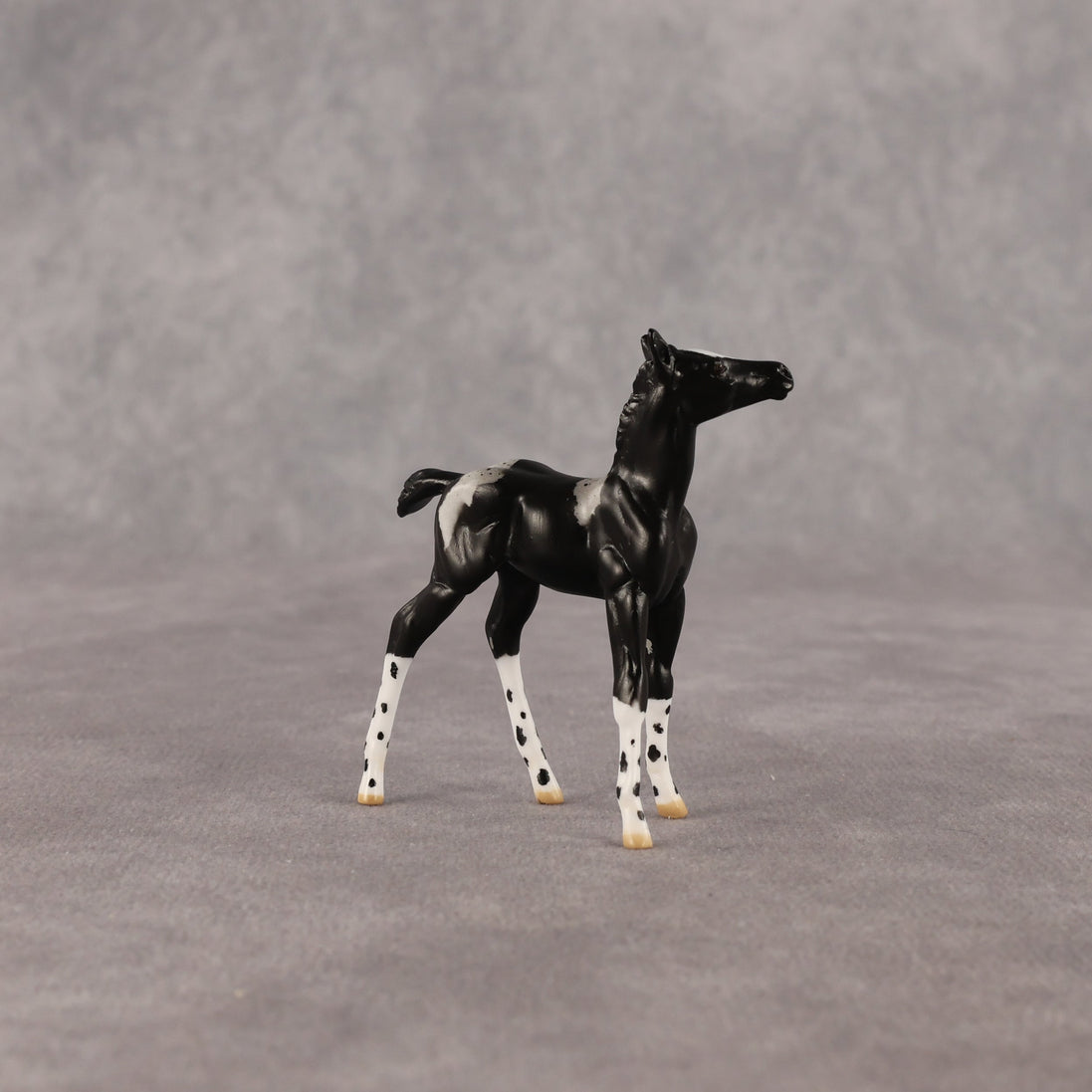 Rava OOAK Chip Foal by Anna Rieck EQ26