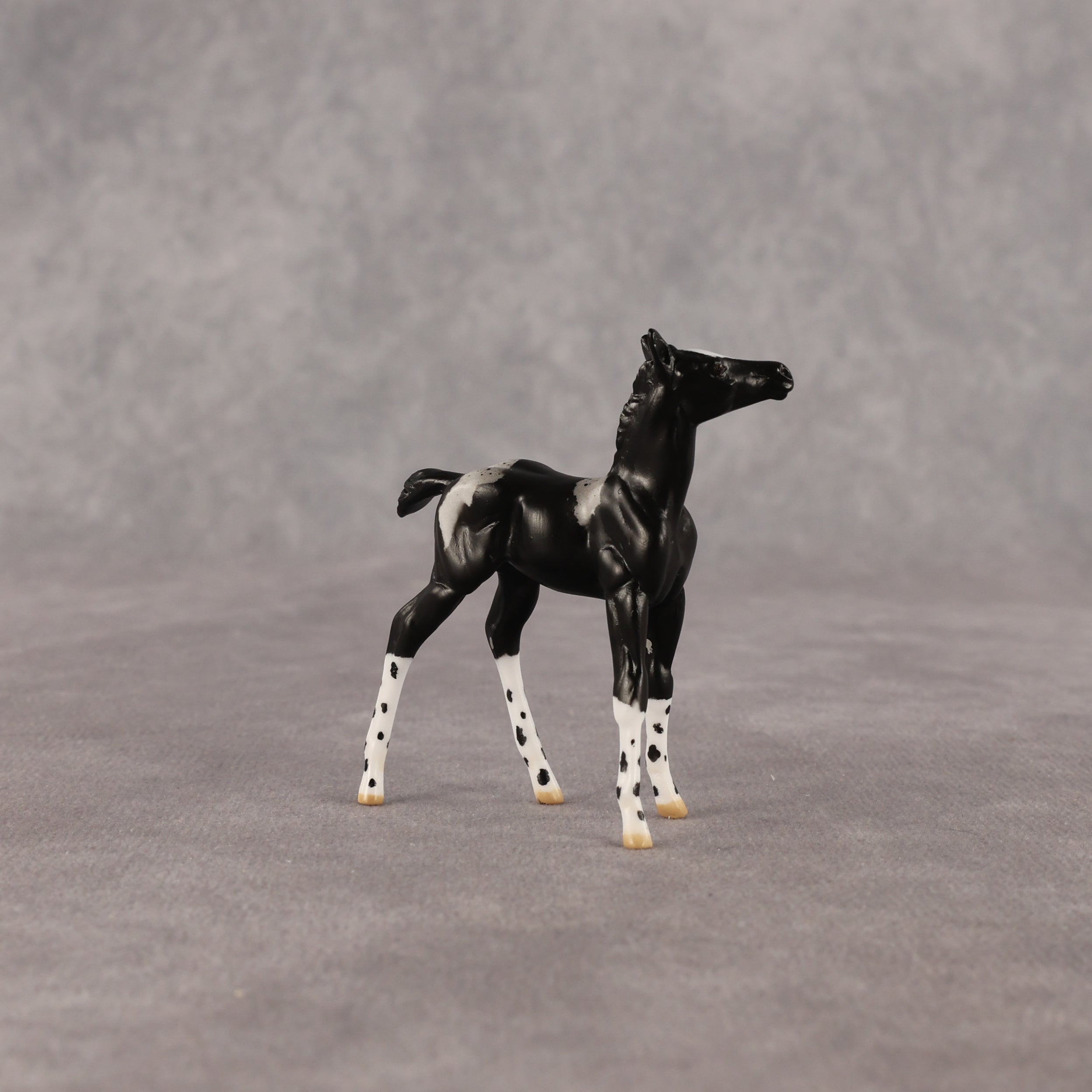 Rava OOAK Chip Foal by Anna Rieck EQ26