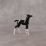 Rava OOAK Chip Foal by Anna Rieck EQ26