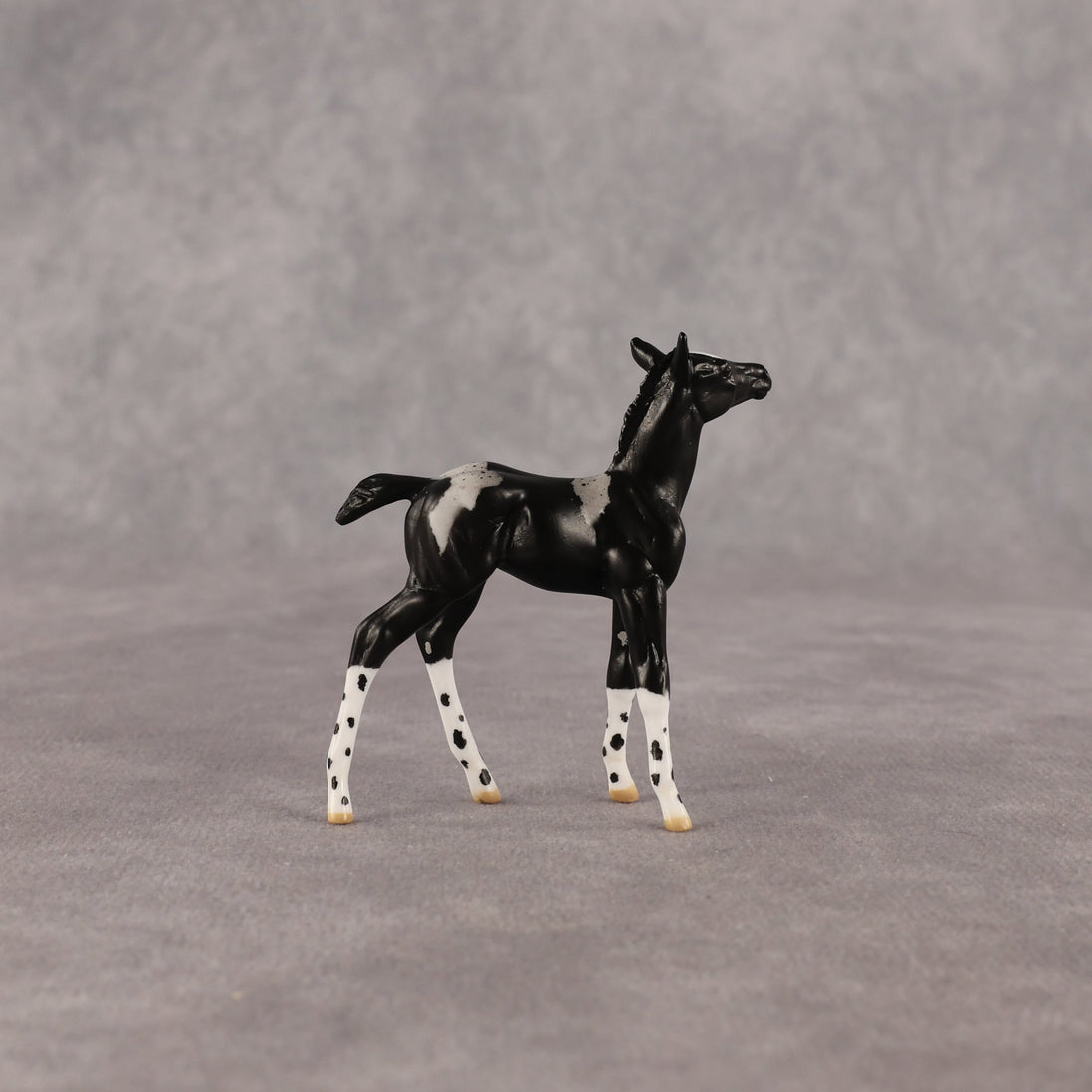 Rava OOAK Chip Foal by Anna Rieck EQ26