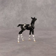 Rava OOAK Chip Foal by Anna Rieck EQ26