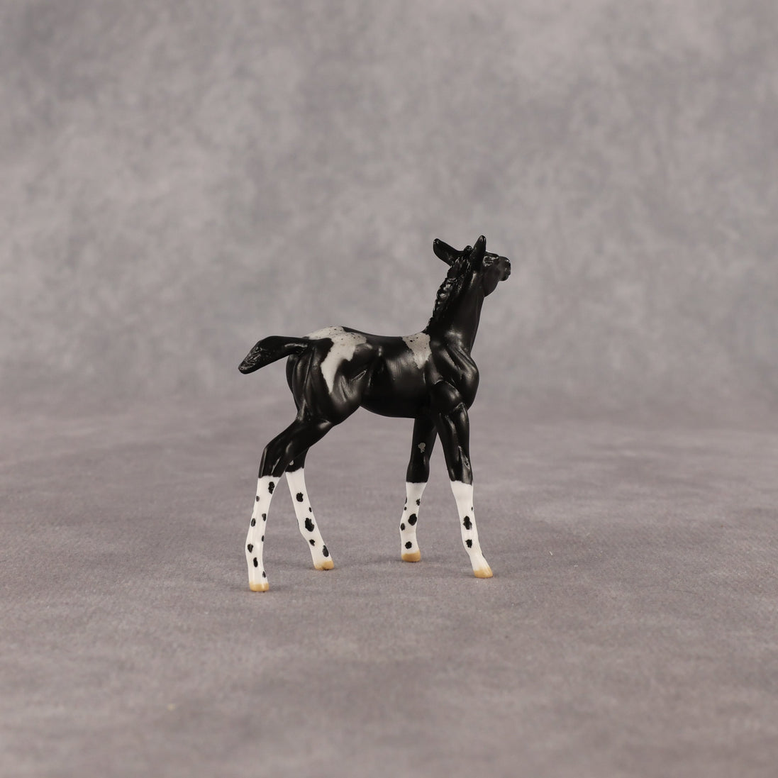 Rava OOAK Chip Foal by Anna Rieck EQ26
