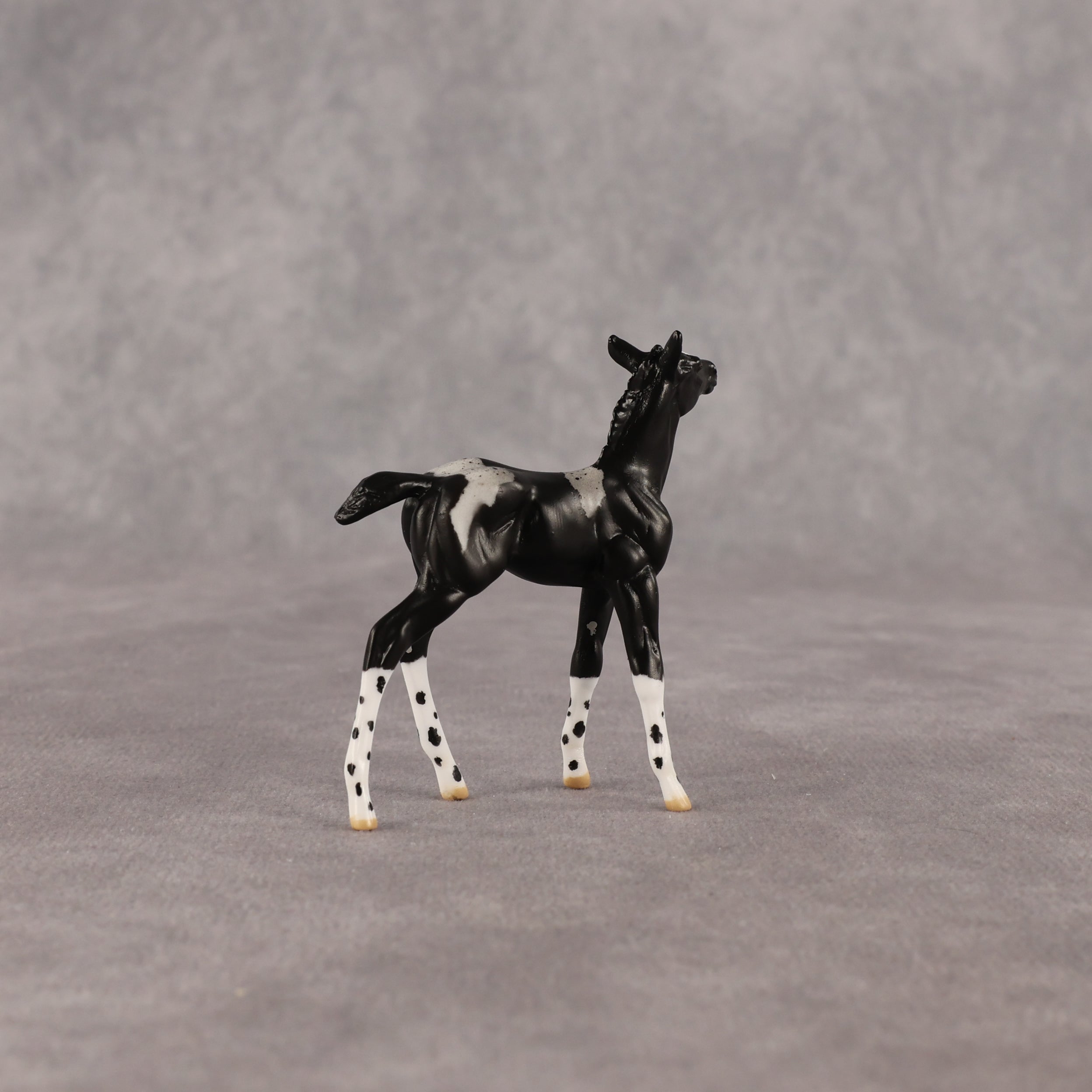 Rava OOAK Chip Foal by Anna Rieck EQ26