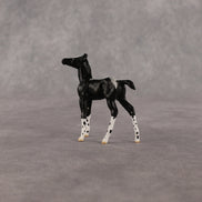 Rava OOAK Chip Foal by Anna Rieck EQ26