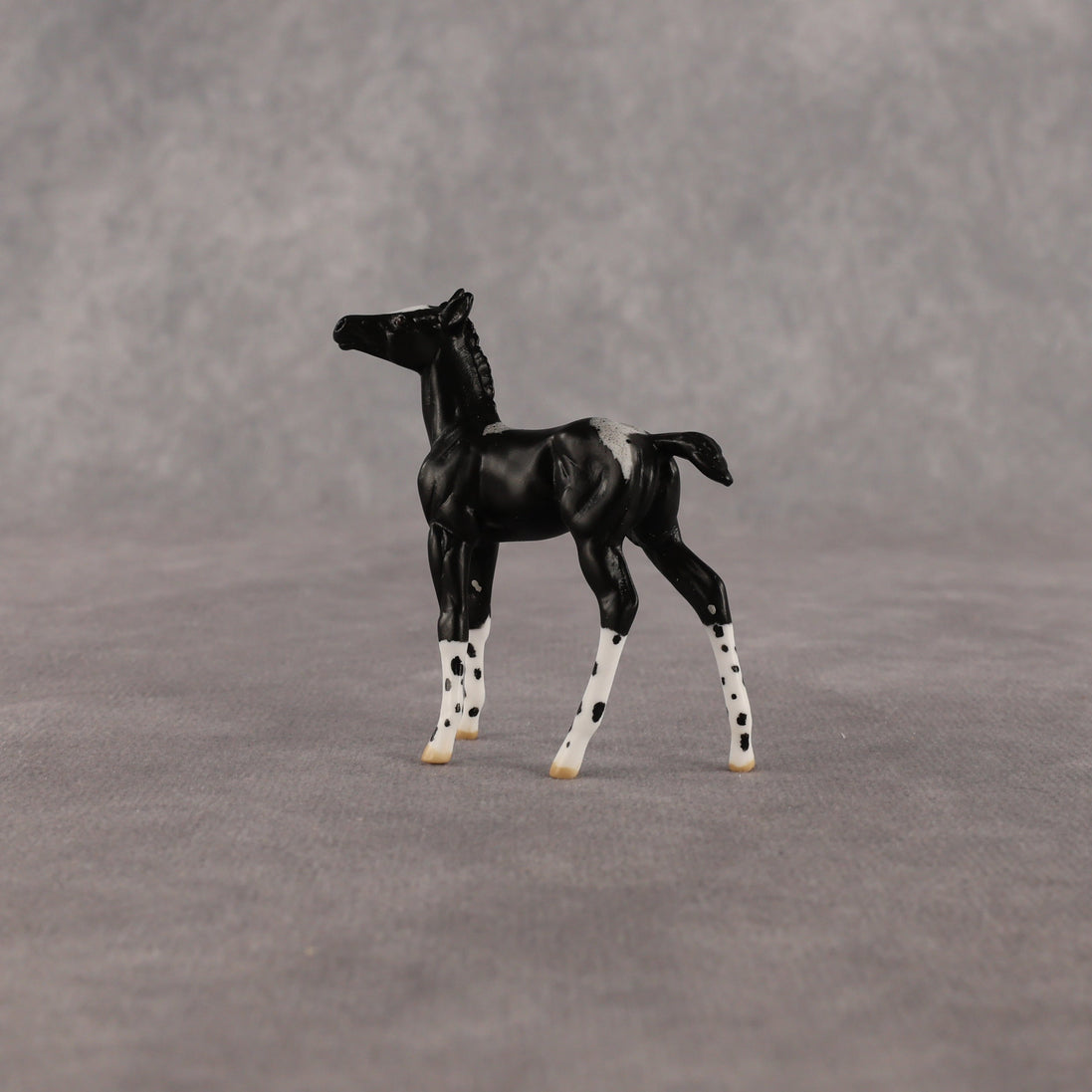 Rava OOAK Chip Foal by Anna Rieck EQ26