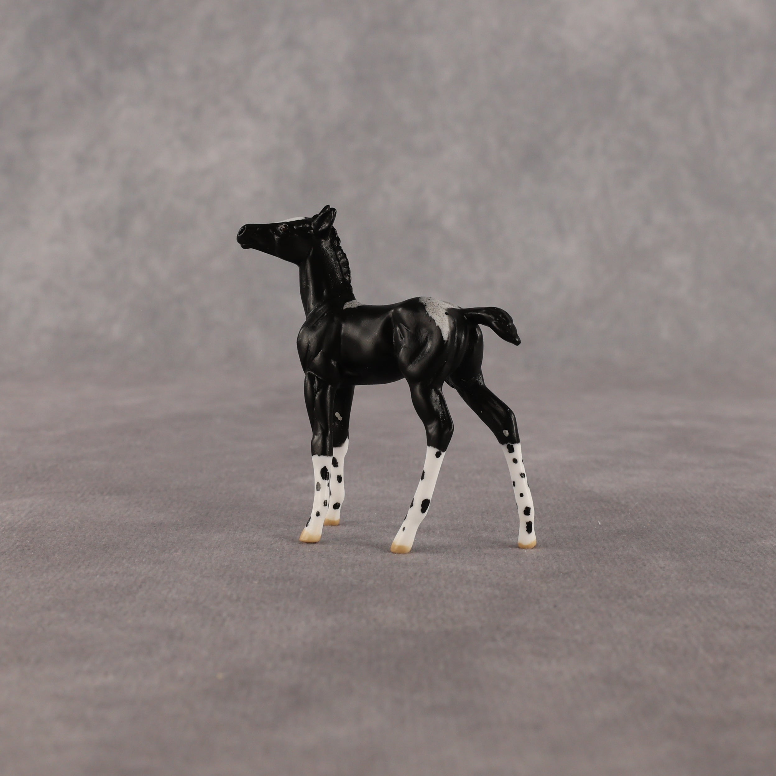 Rava OOAK Chip Foal by Anna Rieck EQ26