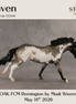 Raven OOAK FCM Remington by Madi Wiseman DDOOAKs26